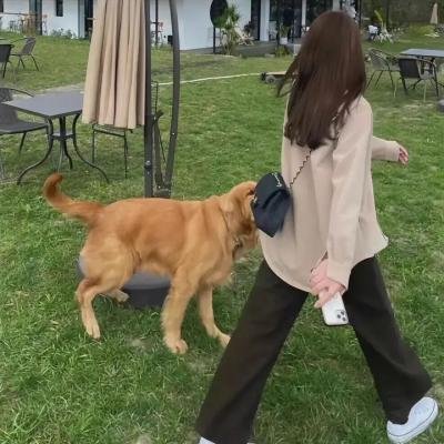 无畏的费根
